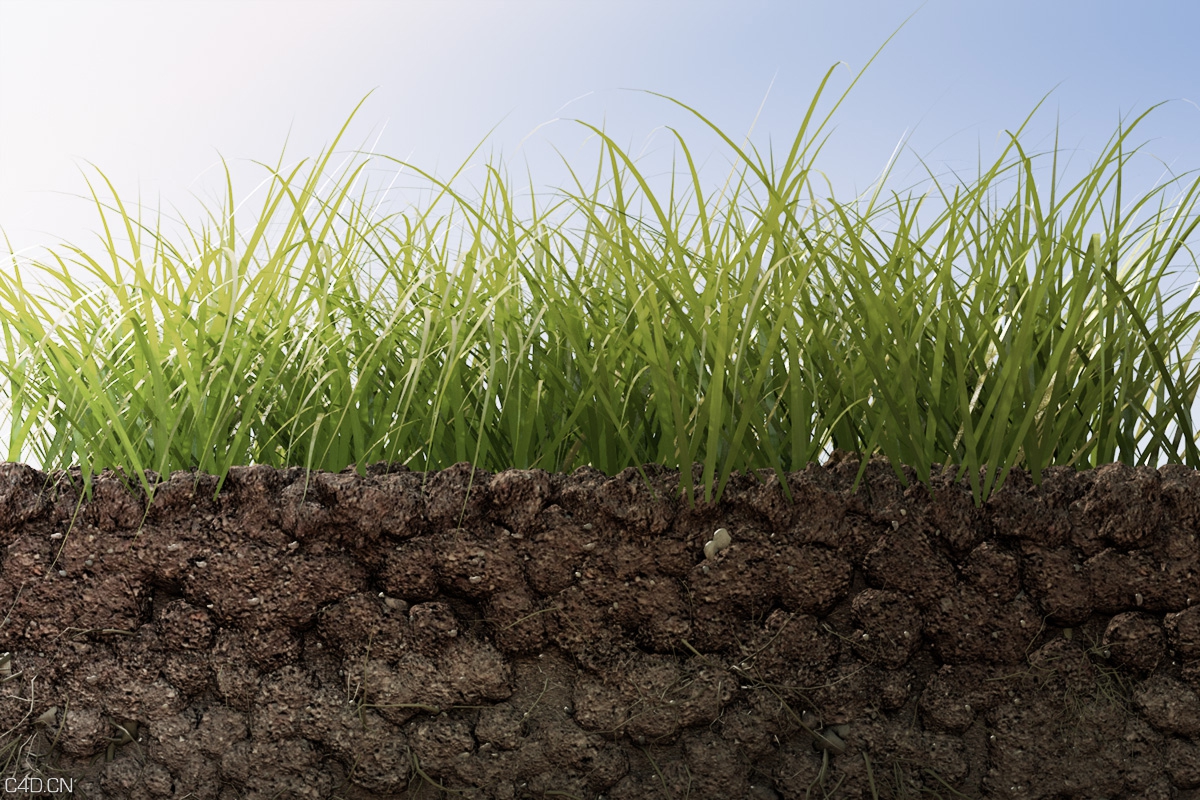 c4dݵȾ the grass mud