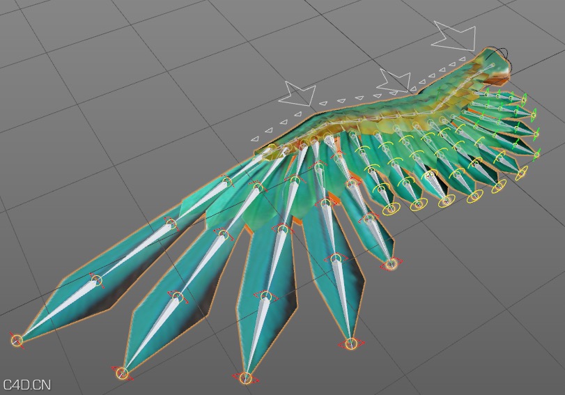 c4d鸟类翅膀绑定工程3dmodelswings