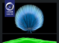 c4d基础中文教程：C4D毛发系统使用教程