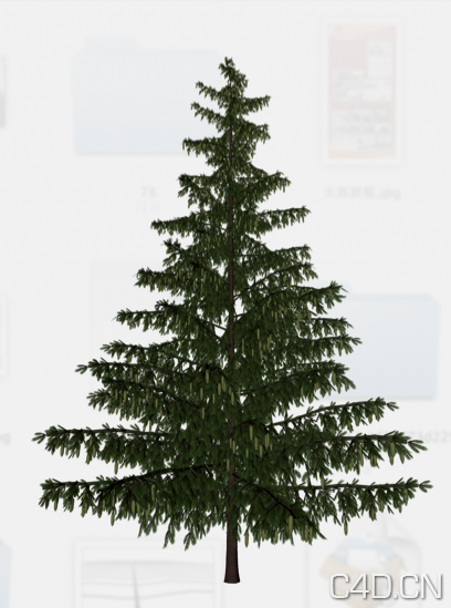 松树模型 Pine - C4D之家 - Snip20120908_4.png