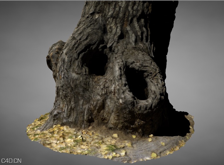 枯树 树洞 老树C4D模型 Dead tree hollow trees - C4D之家 - cinema4d_ 2015-08-07 22.35.56.jpg