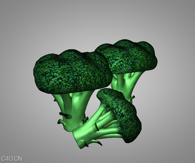 C4D蔬菜模型-菜花模型 Broccoli - C4D之家 - cinema4d_ 2015-09-19 12.45.08.jpg