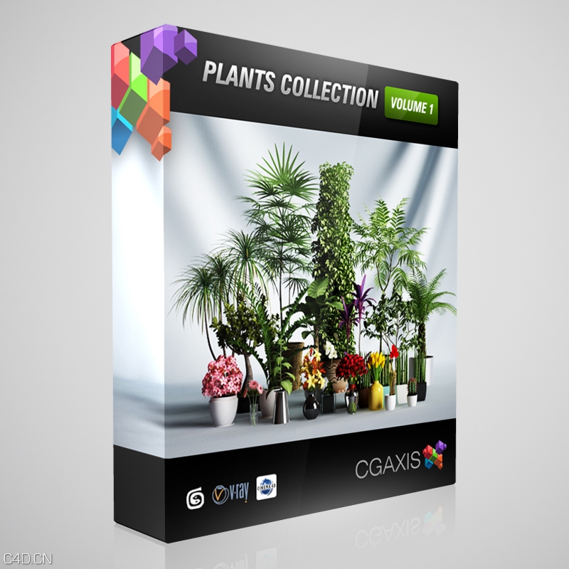 室内景观植物3D模型合集 CGAxis Models Volume 1: Plants - C4D之家 - box_vol1.jpg