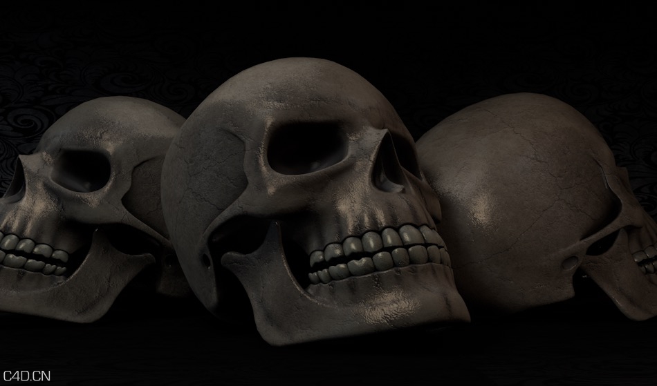 人类颅骨模型 骷髅头C4D模型 Skull 3D Model - C4D之家 - cinema4d_ 2016-02-02 17.30.10.jpg