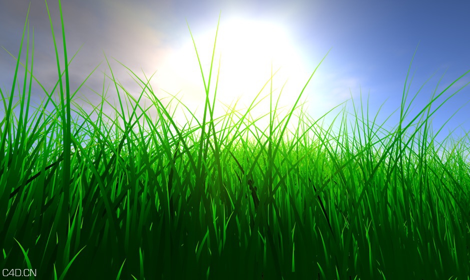 C4D发毛动画工程（草地、头发）C4D hair animation - C4D之家 - cinema4d_ 2016-04-23 11.37.21.jpg