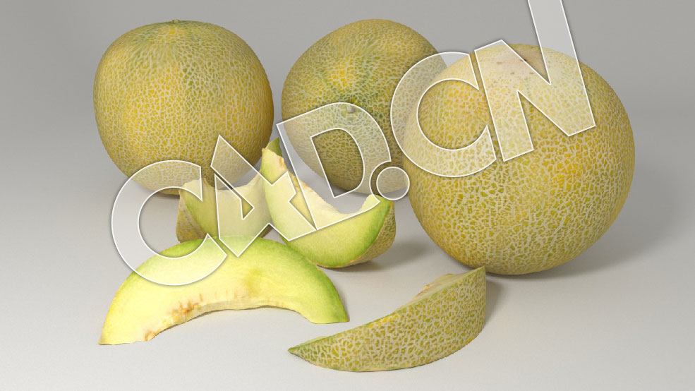 C4D加利亚甜瓜哈蜜瓜密瓜水果模型 Galia Melon 3d Model
