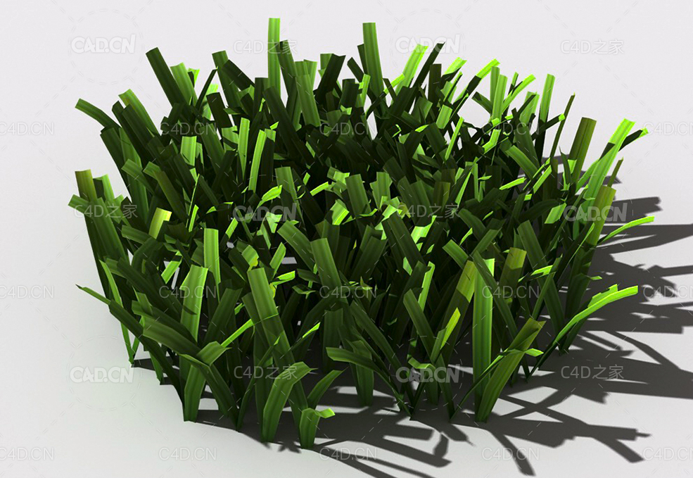 草坪草地绿草植物C4D模型 lawn-grass-f1 - C4D之家 - 31.jpg