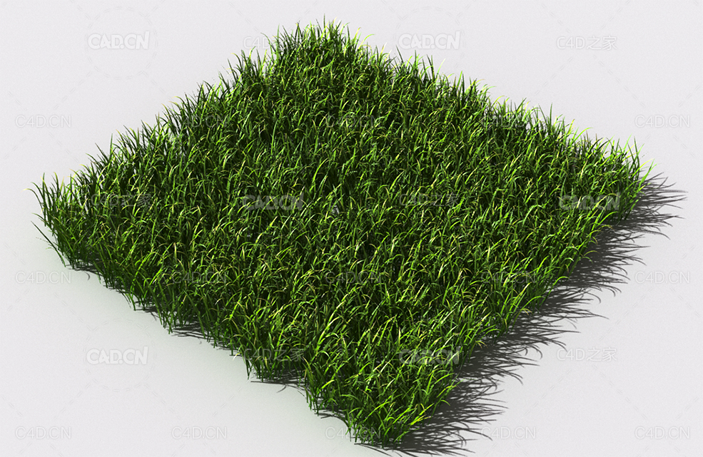 野草植物C4D模型 pattern_wild-grass-5 - C4D之家 - 91.jpg