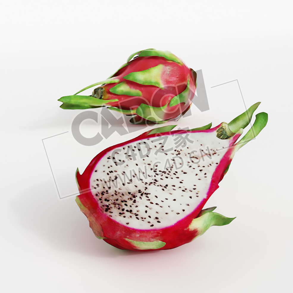 火龙果切开的水果一半火龙果C4D模型 pitaya - C4D之家 - 022.jpg