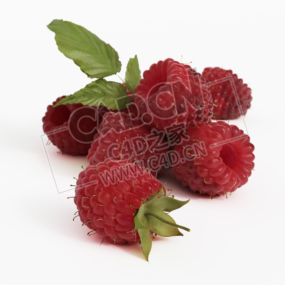 覆盆子水果带叶子的新鲜树莓C4D模型 Raspberry - C4D之家 - 023.jpg