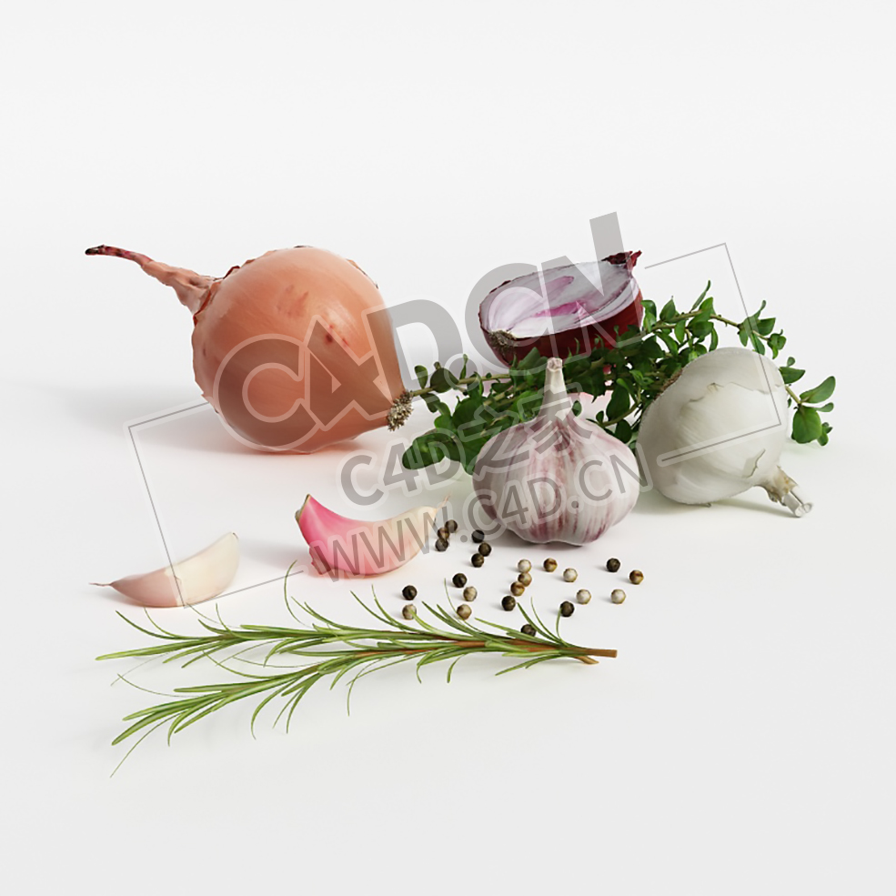 调味品蔬菜洋葱头大蒜迷迭香胡椒C4D模型 Onion garlic rosemary pepper - C4D之家 - 030.jpg