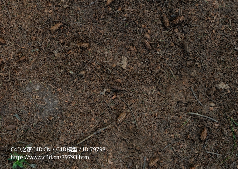 松树林下土壤松针三维扫描模型lesni hlina - C4D之家 - lesni_hlina.jpg