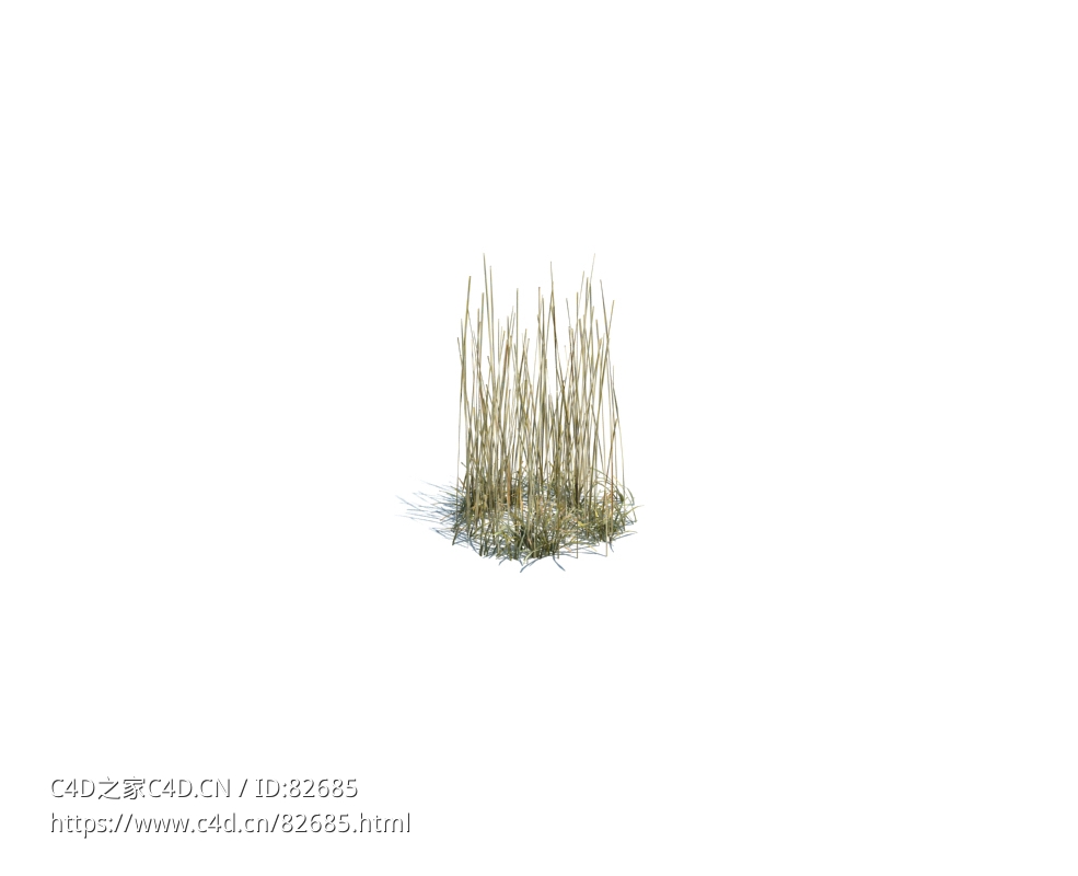 枯草simple grass small v1 - C4D之家 - 139.jpg