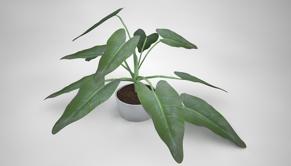 室内小盆景植物C4D模型 small plant - C4D之家 - cinema4d_ 2016-10-25 00.11.18.jpg