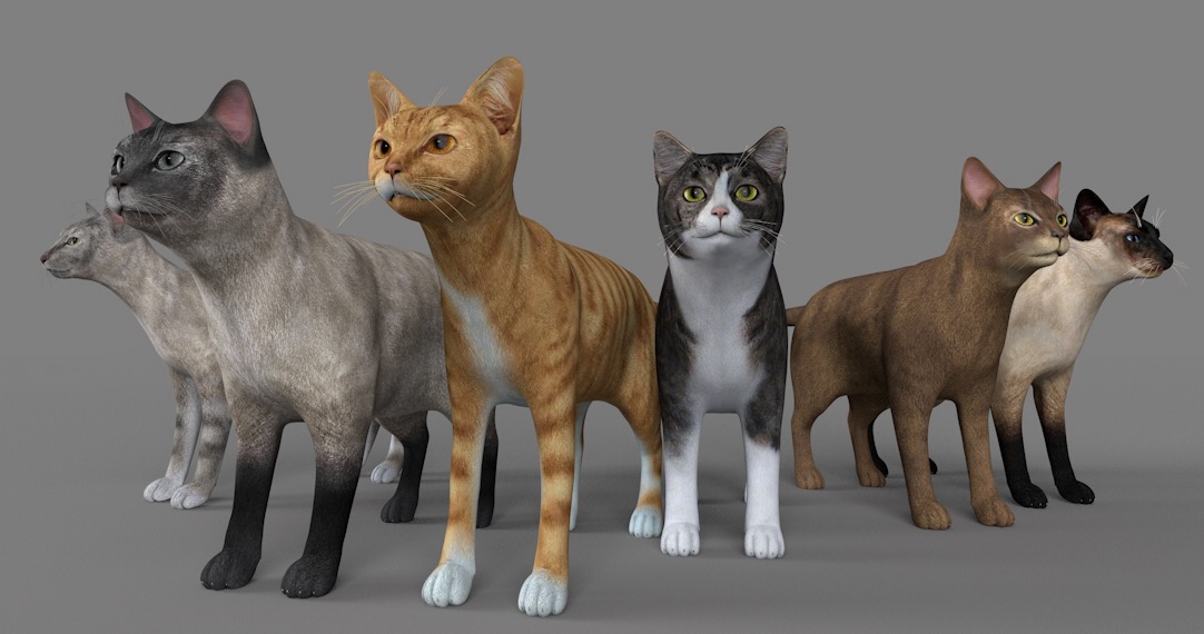 11只名贵宠物猫C4D模型合集 Pet cat 3d model - C4D之家 - cinema4d_ 2017-01-05 12.27.02.jpg