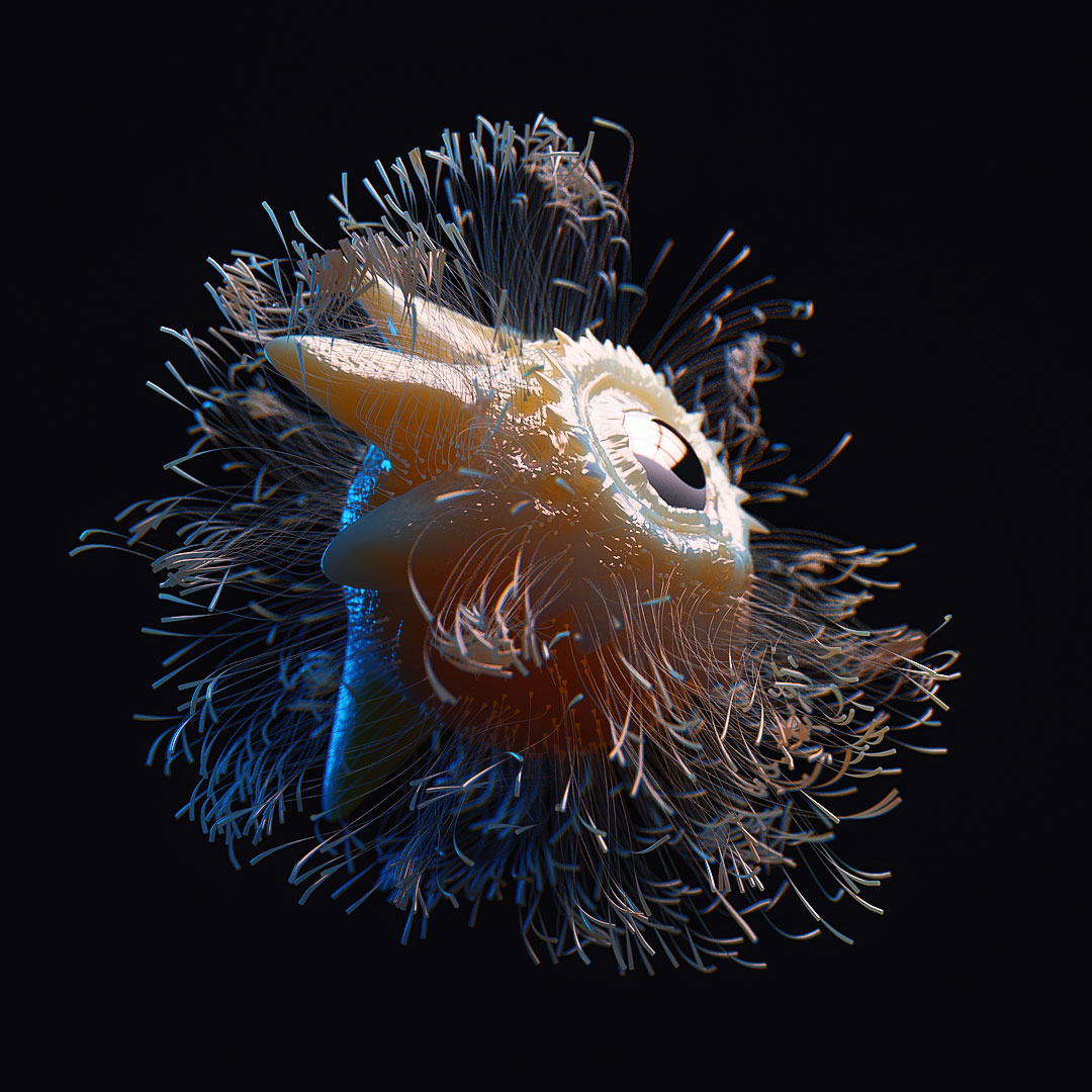 C4D实用工程第272季：满身长毛的科幻独眼生物浮动动画C4D工程文件 c4d project - C4D之家 - [21-01-17]---Boo.jpg