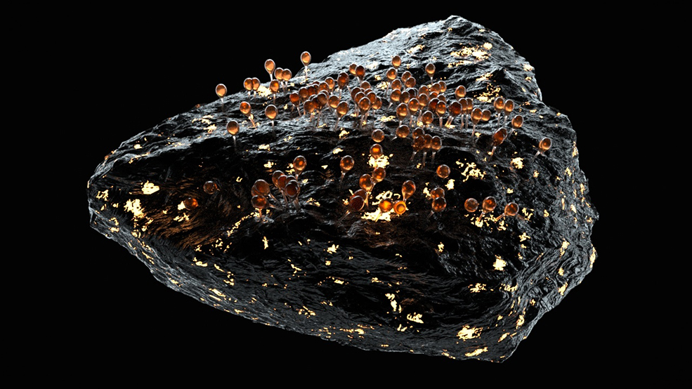 C4D Octane石头上生长的透明晶体工程文件 - C4D之家 - 01c2e25a6f3efca80120a123fecc38.jpg@2o.jpg