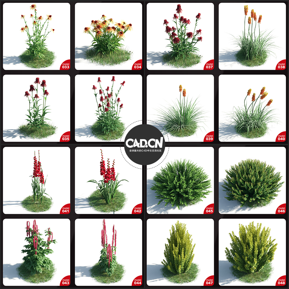 54个C4D景观植物花卉模型合集 Evermotion Archmodels Vol.183 - C4D之家 - 未命名-3.jpg