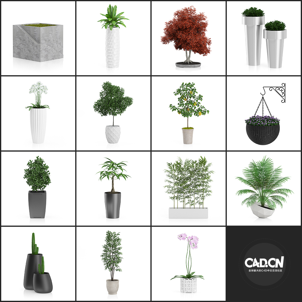 31套装饰盆景植物C4D模型合集 - C4D之家 - 未命名-2.jpg
