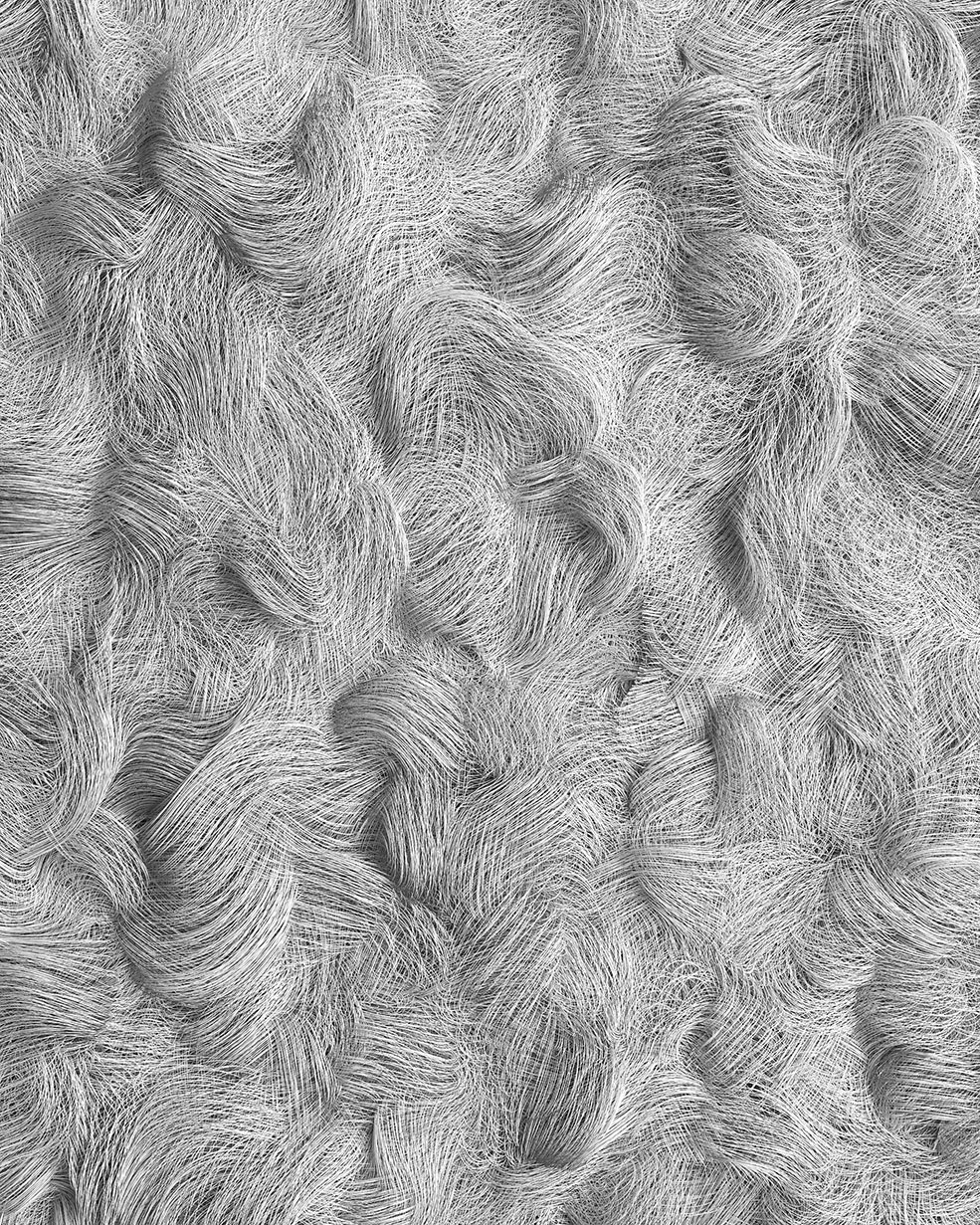 C4D Redshift灰白色的毛发动画工程 Blank - C4D之家 - [12-05-19]---Blank.jpg