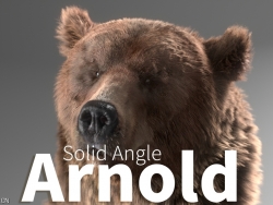 C4D阿诺德渲染器插件Solid Angle Cinema 4D To Arnold 3.2.0 Mac