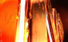 【AE模板】Element 3D唯美花纹生长logo展示AE模板