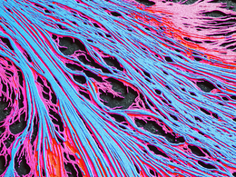 C4D实用工程第469季：科幻七彩脉络C4D工程C4D Project[Cinema4D - Octane]