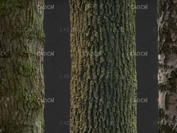 树皮贴图素材合集 Gumroad – Photogrammetry Tile Textures – Bark Pack 02