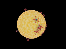 C4D医学动画工程文件:细胞表面受体 Cell Surface Receptors
