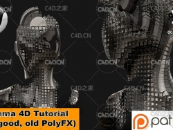 C4D制作科幻头像消减动画教程 THE GOOD, OLD PolyFX (Cinema 4D Tutorial)