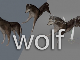 野狼游戏C4D绑定模型 wolf 3d model