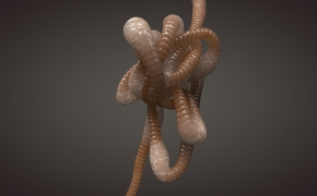 C4D中制作粘糊糊的肠子动画视频教程 Making Some Slimy Guts in Cinema 4D